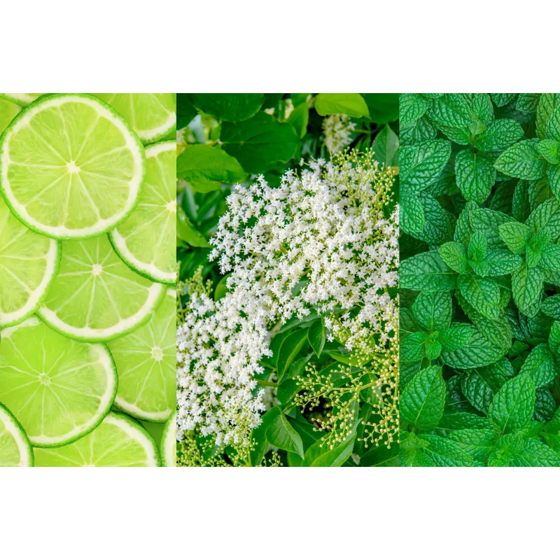 Lemonade Party – 4 Flavours Mix 4x4 – Save when you buy the set