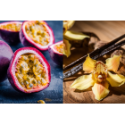 Lemoniada Party - 4 smaki Mix 4x4 W zestawie taniej