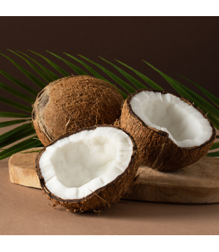 Set of 9 bars – Familiar Taste, Good Ingredients