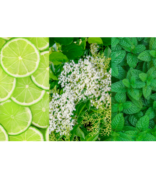 GREATER VALUE! SET OF 7 HUGO LEMONADES (40G EACH)