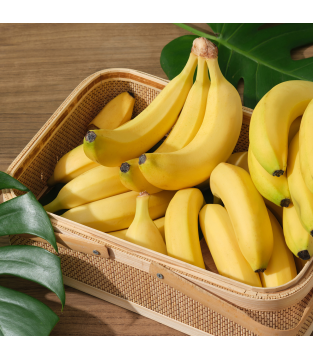 ZESTAW 10 SZTUK NAPÓJ CZEKOLADOWY BANANOWY 10X27G