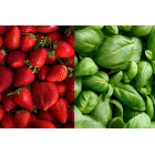 10 X LEMONIADA FRESH TRUSKAWKA+BAZYLIA Z KOLAGENEM 10 X LEMONIADA FRESH TRUSKAWKA+BAZYLIA Z KOLAGENEM