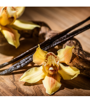 10 packs of Cappuccino Zero Vanilla