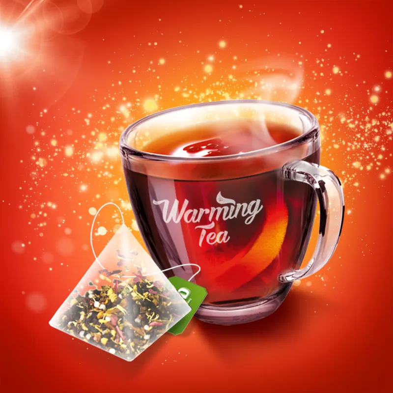 Loyd Warming Tea: Plum with Fig, Ginger and Cinnamon – 20 tea bags