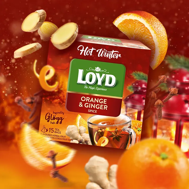 Loyd Hot Winter Orange and Ginger Fruit and Herbal Tea, 15 bags