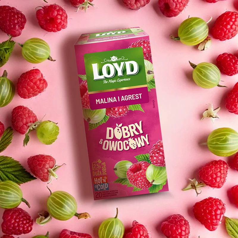 HERBATKA DOBRY OWOCOWY MALINA & AGREST 20x2,5g