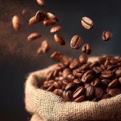 Kawa ziarnista Supremo Colombiano 1 kg