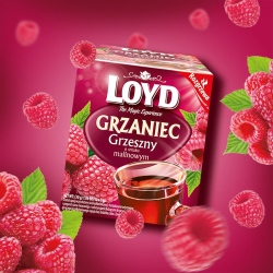 Grzaniec Grzeszny Loyd o smaku Malinowym 10 torebek