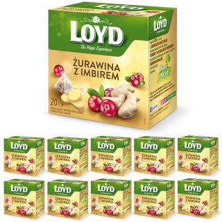 Wholesale Pack: Cranberry and Ginger Pyramid Tea Bags (10-pack)