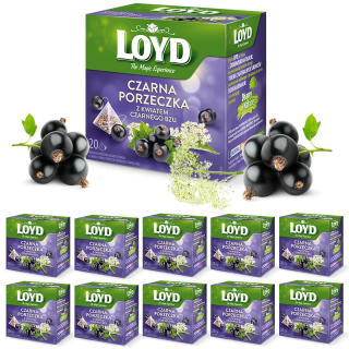 Wholesale Set: Blackcurrant and Elderberry