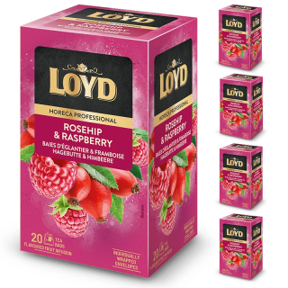 Zestaw (4x) - Herbata HORECA Loyd Rosehip & Raspberry 20 torebek
