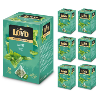 Zestaw (6x) - Ekspresowa Herbata Loyd Horeca Ziołowo Miętowa Mint 20x2g Gastronomiczna