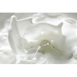 ZABIELACZ MLECZNY w Proszku Śmietanka do Kawy 1kg MOKATE VENDING To go